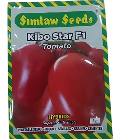 TOMATO KIBO STAR F1 5GMS SIM