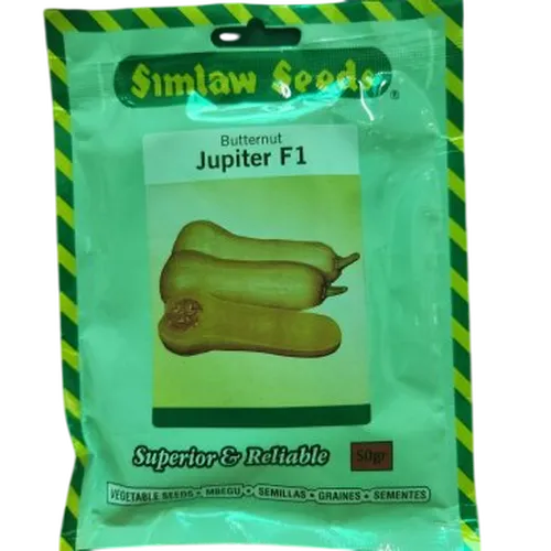 SQUASH JUPITER F1 25GMS SIM