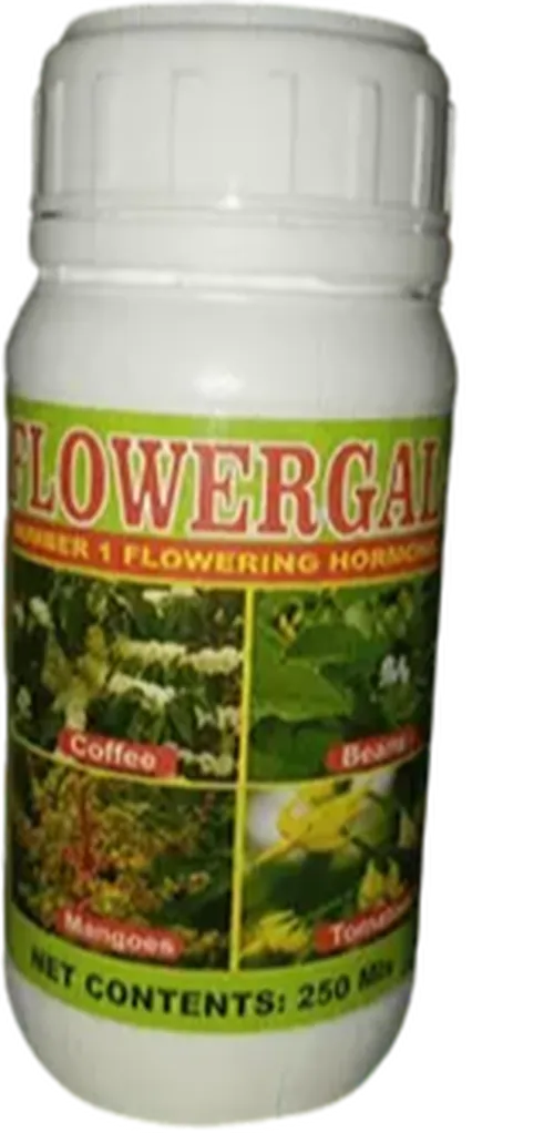 FLOWER GAL  250MLS