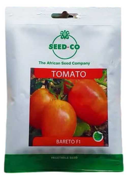 TOMATO BARETO  F1 25GMS SEEDCO