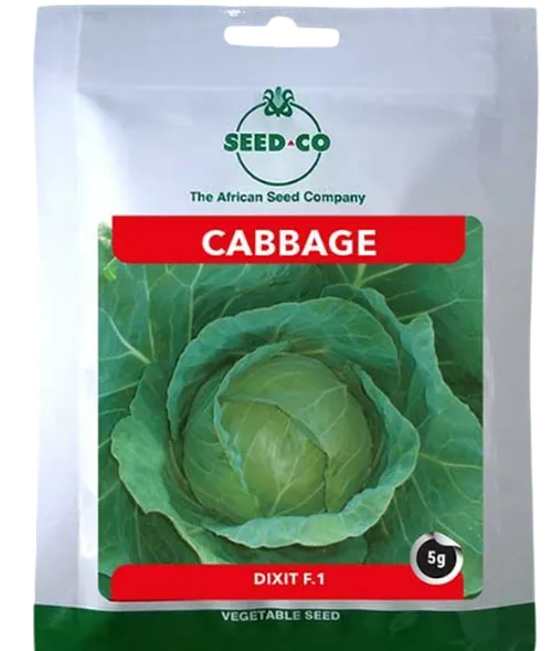CABBAGE DIXIT F1 10GMS