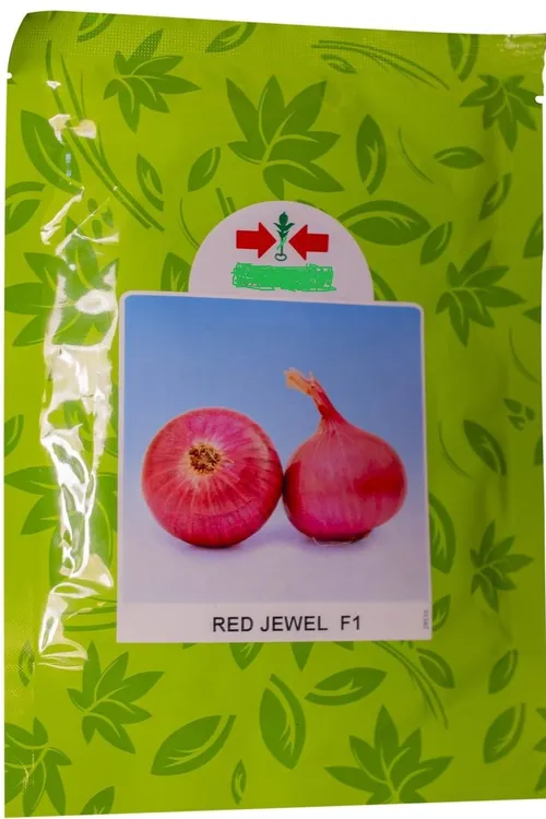 ONION RED JEWEL F1 500GMS