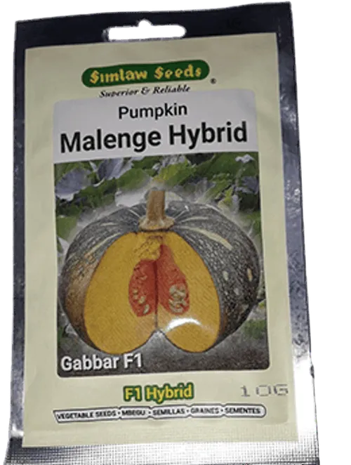 PUMPKIN GABBAR F1 5GMS MSH SIMLAW