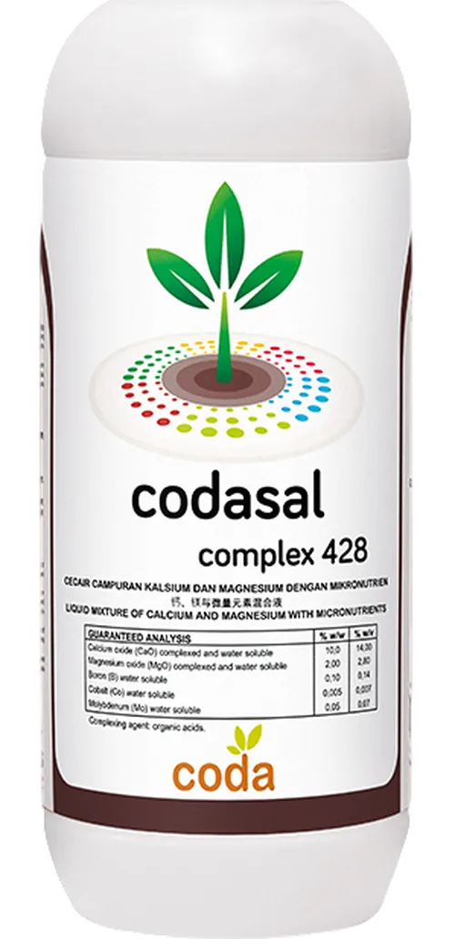 CODASAL COMPLEX 1 LTR(calcium+magnesium)