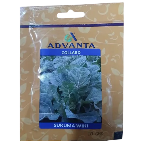 COLLARD SUKUMA WIKI 10GM ADVANTA