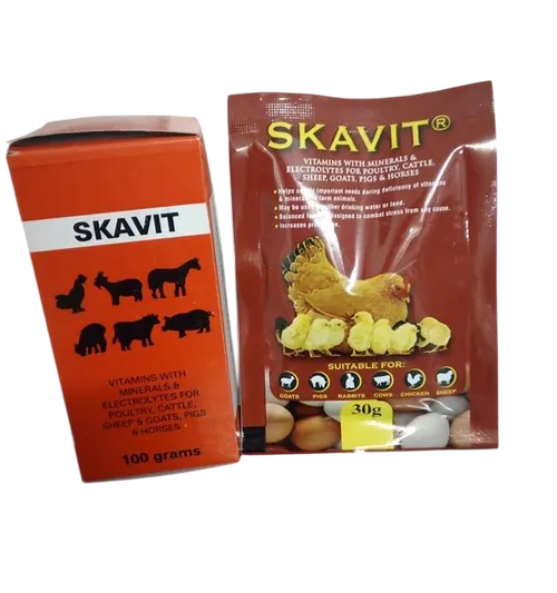 SKAVIT POWDER 30GM AESTHETICS