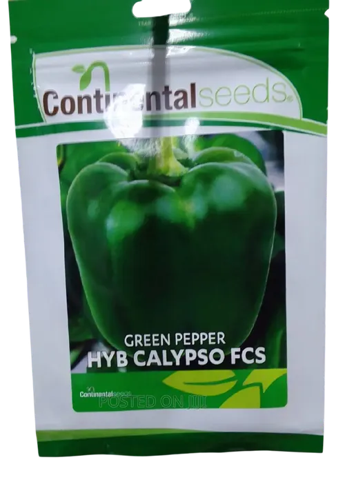 GREEN PEPPER HYB CALYPSO FCS 2GMS CONTINENTAL