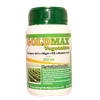 GOLDMAX VEGETATIVE 250ML