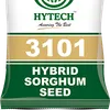 SORGHUM MABROUK 1KG HYTECH