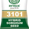 SORGHUM MABROUK 2KG HYTECH