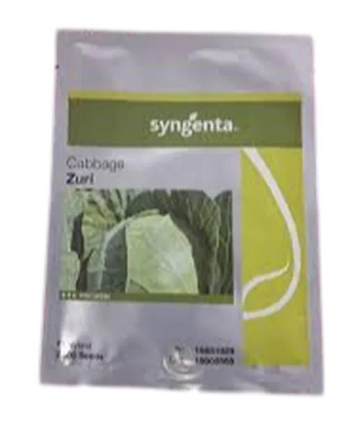 CABBAGE ZURI F1 2500SEEDS SYNGE