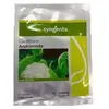 CAULIFLOWER ANDROMEDA 1000SEEDS SYNTA