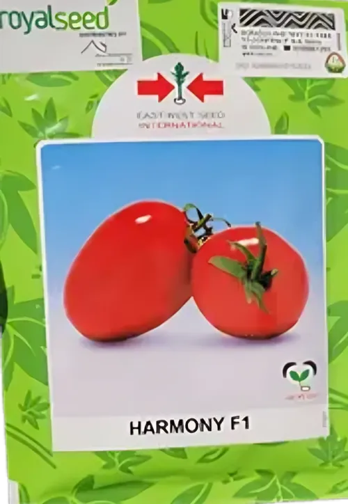 TOMATO HARMONY F1 25,000SD