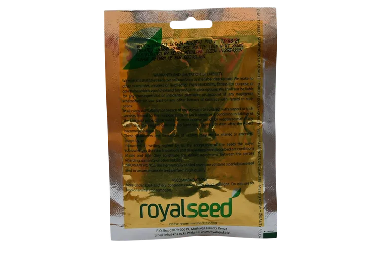 ONION BUNCHING(WHITE LISBON) 25GMS ROYAL