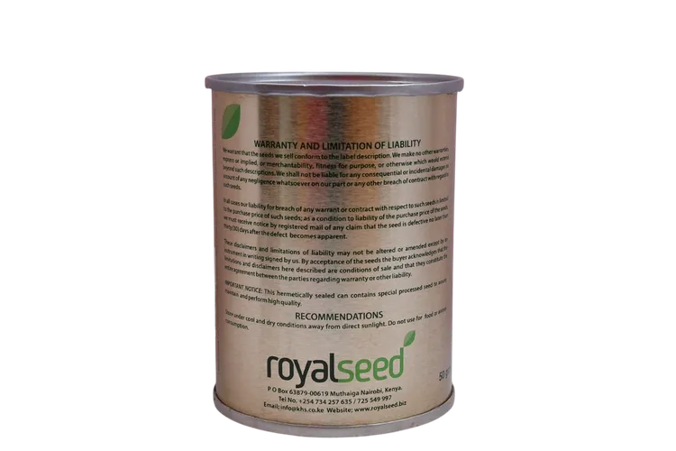 ONION BUNCHING(WHITE LISBON) 50GMS ROYAL