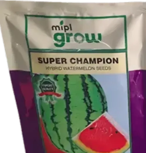 W MELON SUPER CHAMPION F1  50GM