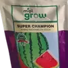 W MELON SUPER CHAMPION F1  50GM