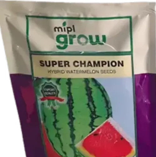 W MELON SUPER CHAMPION F1  250GM