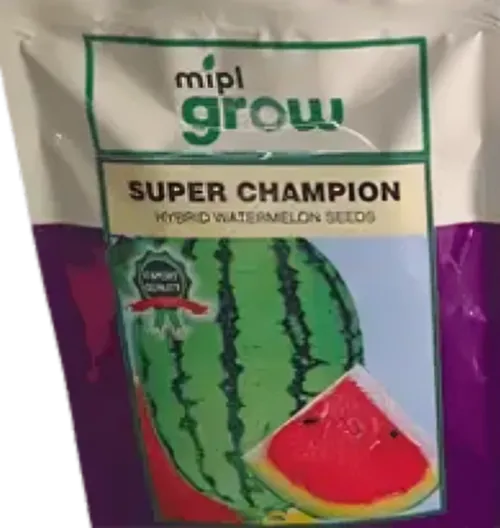 W MELON SUPER CHAMPION F1  500GM