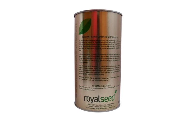 ONION BUNCHING(WHITE LISBON) 250GMS ROYAL