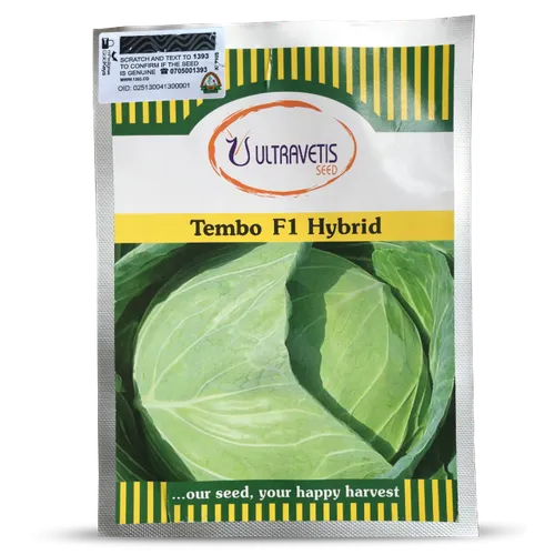 CABBAGE TEMBO F1 5GMS ULTRAVETIS