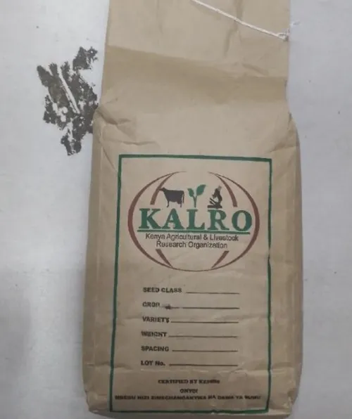 BEANS KAT B1 2KG(YELLOW BEANS)KALRO