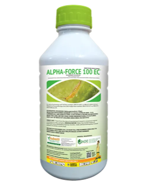 ALPHAFORCE 1LTR JUBAILI