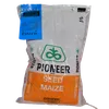 MAIZE PIONEER 3531 2KG