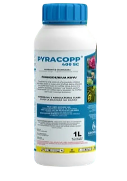 PYRACOPP 400SC 100MLS