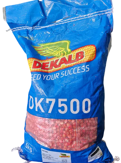 MAIZE DEKALB 7500 2KGS(YELLOW MAIZE)