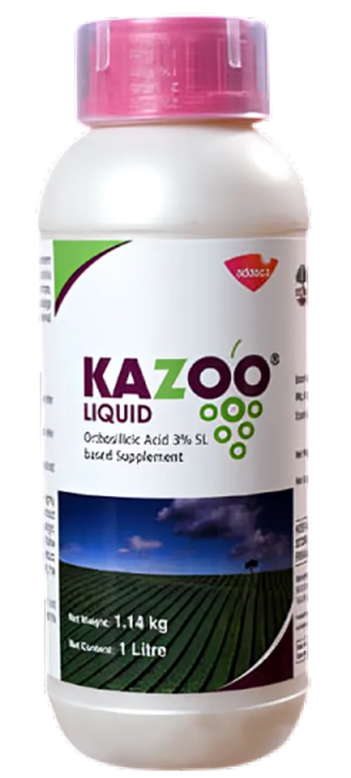 KAZOO LIQUID 1LTR