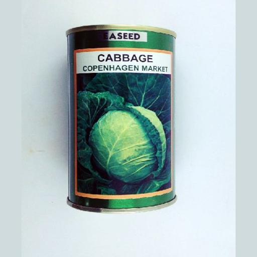 CABBAGE COPENHAGEN 50GM SIM