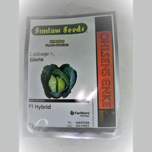 CABBAGE GLORIA F1 25GM