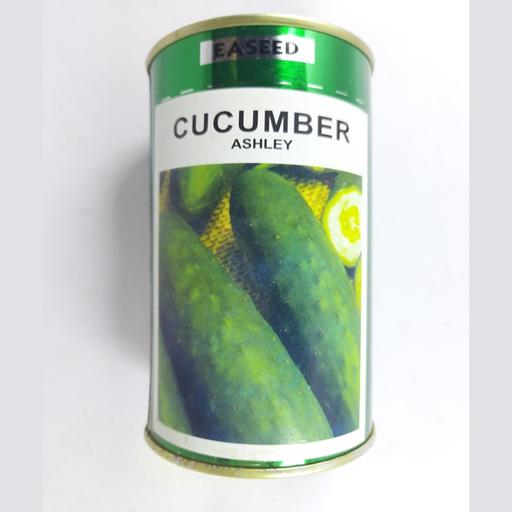 CUCUMBER ASHLEY 50GMS R
