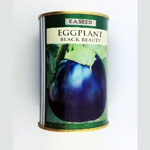 EGGPLANT B/BEAUTY 50GM EA