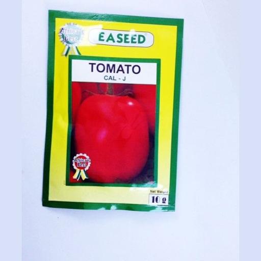 TOMATO CAL-J 10GMS EA
