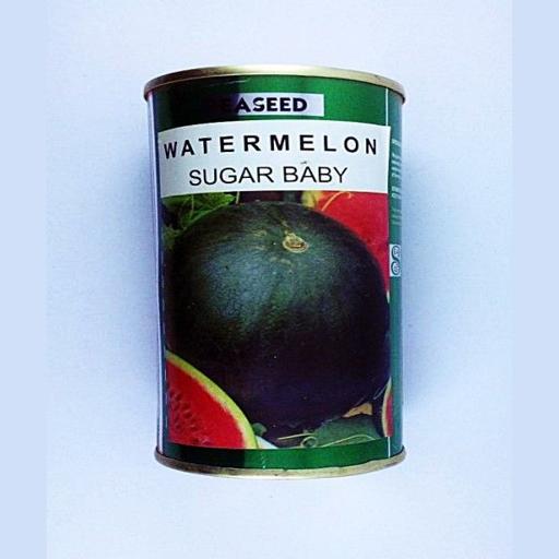 W MELON SUGARBABY 250GMS EA