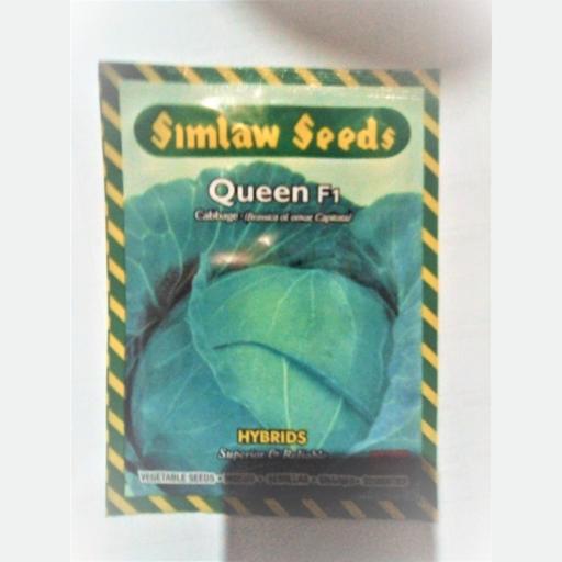CABBAGE QUEEN 5GMS
