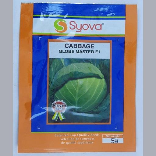 CABBAGE GLOBE MASTER F1 5GMS