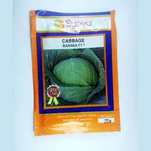 CABBAGE BARAKA F1 25GM