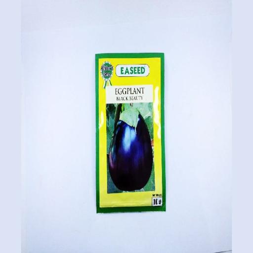 EGGPLANT B/BEAUTY 10GMS EA