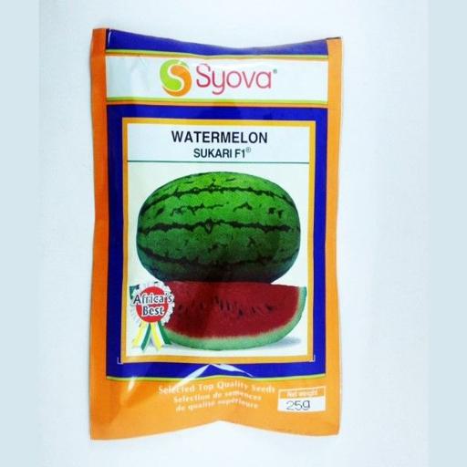 W MELON SUKARI F1 25GM