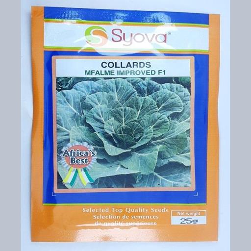 COLLARDS MFALME F1 IMPROVED 25GM EA