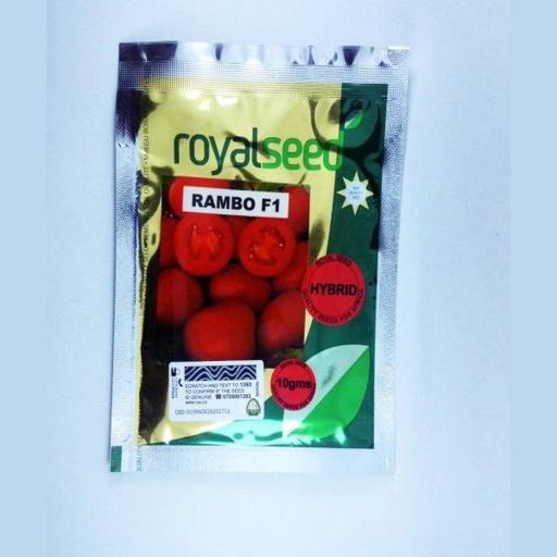 TOMATO RAMBO 5GM