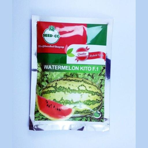 W MELON KITO F1 50GMS SDCO