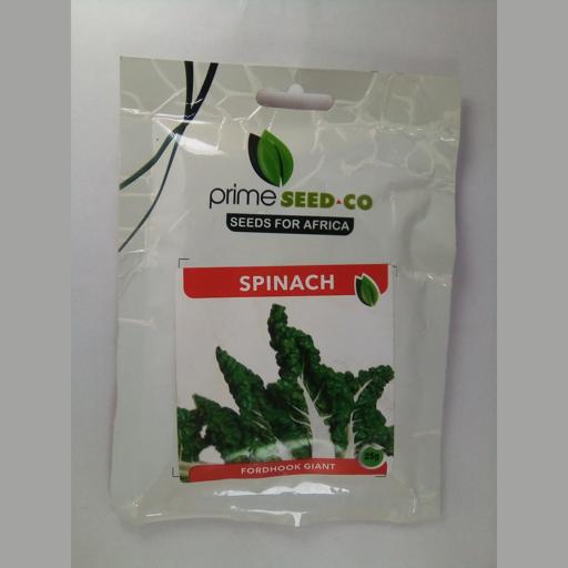 S/C FORDH GIANT 25GM SEEDCO
