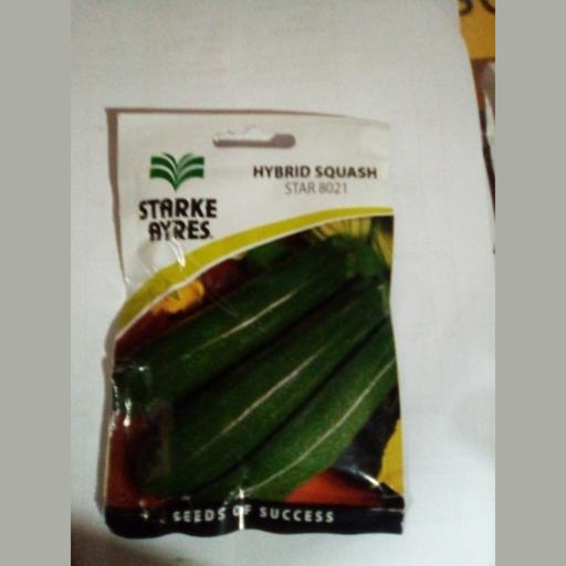 SQUASH STAR 8021 FI 10GMS