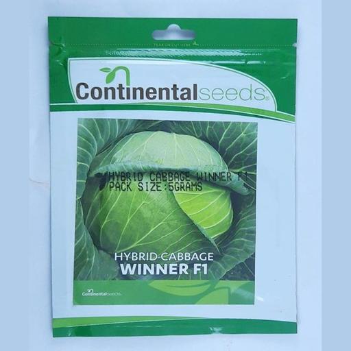 CABBAGE WINNER F1 5GMS CONTI