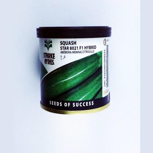 SQUASH STAR 8021 F1 25GMS