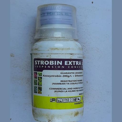 ABSOLUTE 100MLS AZOXYSTROBIN